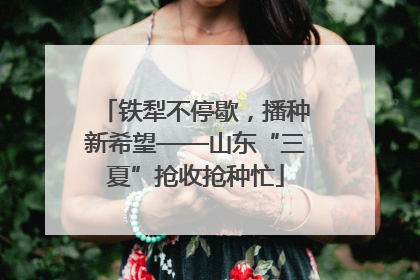铁犁不停歇，播种新希望——山东“三夏”抢收抢种忙