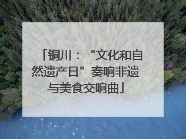 铜川：“文化和自然遗产日”奏响非遗与美食交响曲
