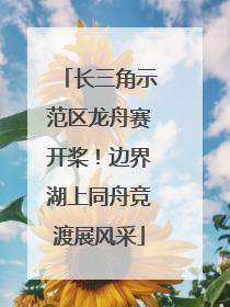 长三角示范区龙舟赛开桨！边界湖上同舟竞渡展风采