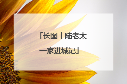 长图丨陆老太一家进城记