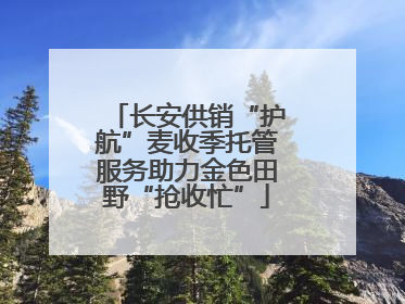 长安供销“护航”麦收季托管服务助力金色田野“抢收忙”