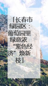 长春市绿园区：葡萄园里绿意浓 “紫色经济”焕新枝