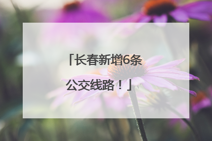 长春新增6条公交线路！