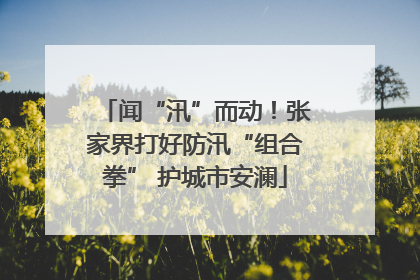 闻“汛”而动！张家界打好防汛“组合拳” 护城市安澜