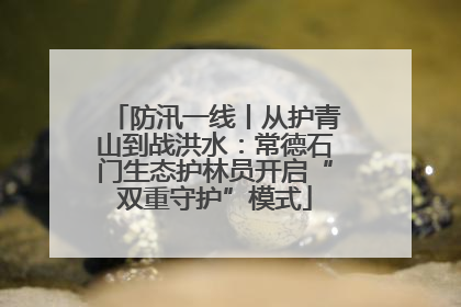 防汛一线丨从护青山到战洪水：常德石门生态护林员开启“双重守护”模式