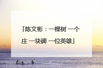 陈文彬：一棵树 一个庄 一块碑 一位英雄
