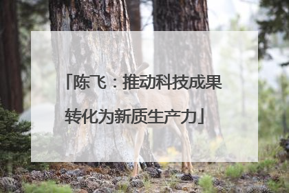 陈飞：推动科技成果转化为新质生产力