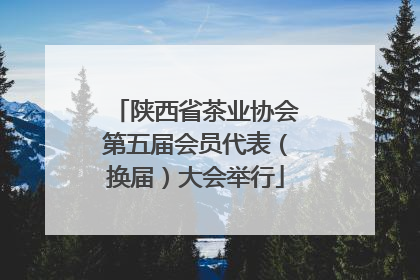 陕西省茶业协会第五届会员代表（换届）大会举行