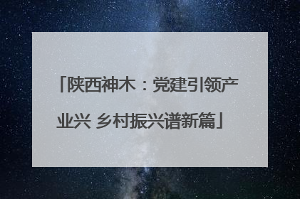陕西神木：党建引领产业兴 乡村振兴谱新篇