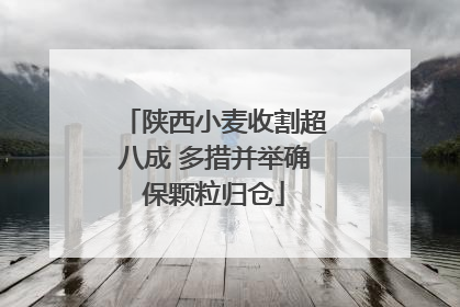 陕西小麦收割超八成 多措并举确保颗粒归仓