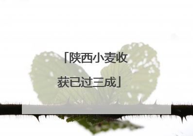 陕西小麦收获已过三成