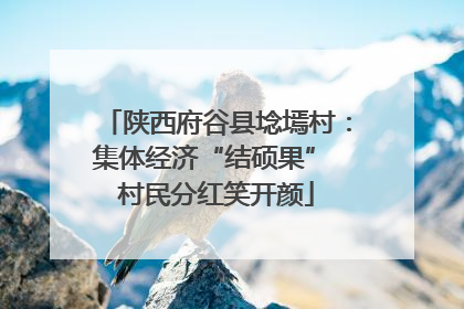 陕西府谷县埝墕村：集体经济“结硕果” 村民分红笑开颜