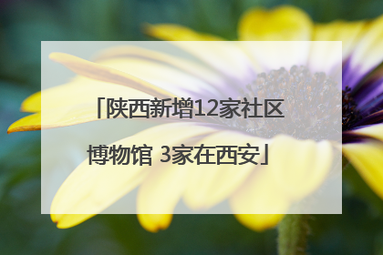 陕西新增12家社区博物馆 3家在西安