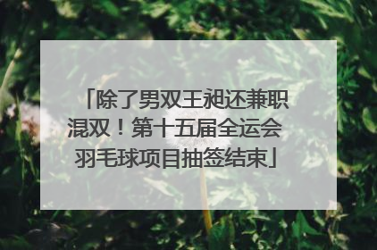 除了男双王昶还兼职混双！第十五届全运会羽毛球项目抽签结束