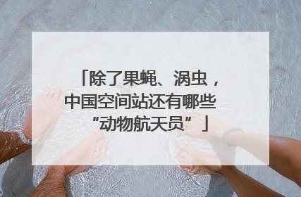除了果蝇、涡虫，中国空间站还有哪些“动物航天员”