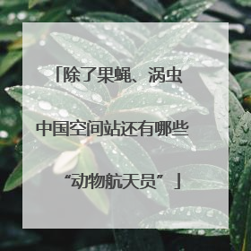 除了果蝇、涡虫 中国空间站还有哪些“动物航天员”