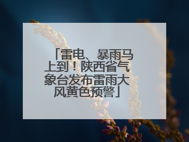 雷电、暴雨马上到！陕西省气象台发布雷雨大风黄色预警