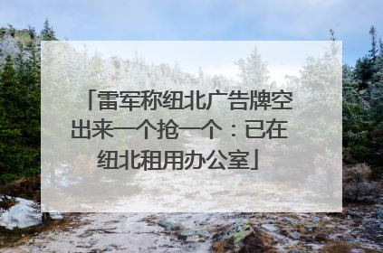 雷军称纽北广告牌空出来一个抢一个：已在纽北租用办公室