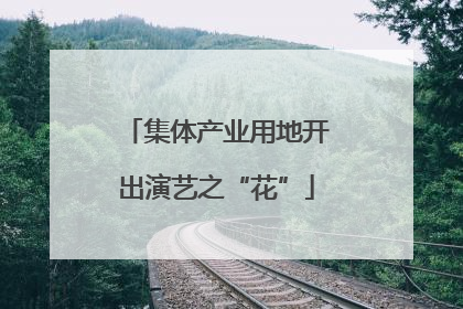 集体产业用地开出演艺之“花”