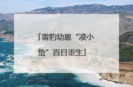 雪豹幼崽“凌小蛰”百日重生
