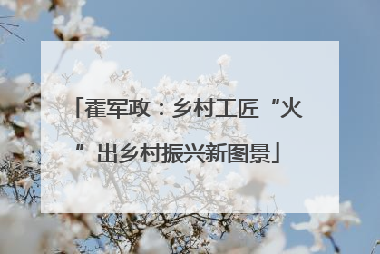 霍军政：乡村工匠“火”出乡村振兴新图景