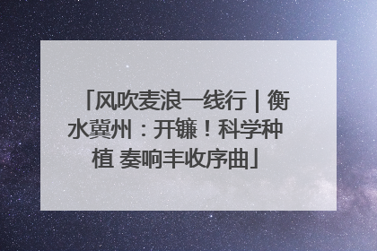 风吹麦浪一线行｜衡水冀州：开镰！科学种植 奏响丰收序曲