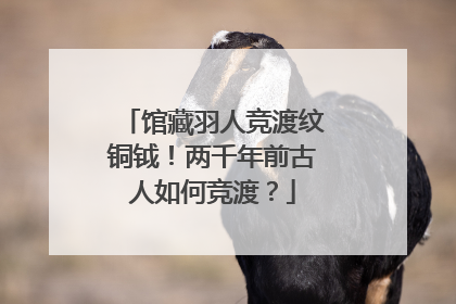 馆藏羽人竞渡纹铜钺！两千年前古人如何竞渡？