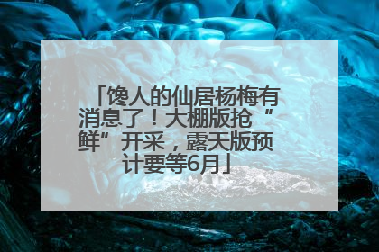馋人的仙居杨梅有消息了！大棚版抢“鲜”开采，露天版预计要等6月