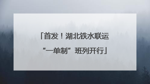 首发！湖北铁水联运“一单制”班列开行