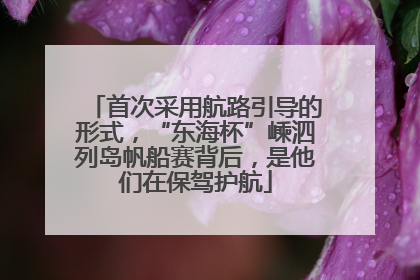 首次采用航路引导的形式，“东海杯”嵊泗列岛帆船赛背后，是他们在保驾护航