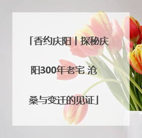 香约庆阳丨探秘庆阳300年老宅 沧桑与变迁的见证