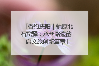 香约庆阳｜镇原北石窟驿：承丝路遗韵 启文旅创新篇章