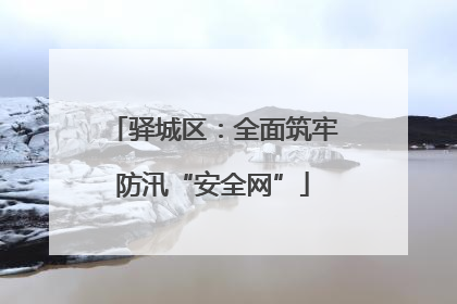 驿城区：全面筑牢防汛“安全网”