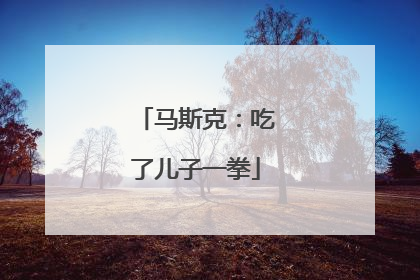 马斯克：吃了儿子一拳