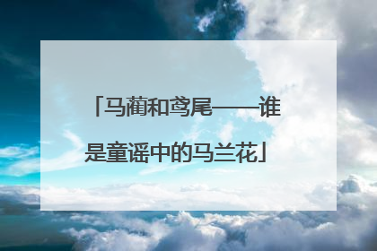马蔺和鸢尾——谁是童谣中的马兰花