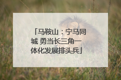 马鞍山：宁马同城 勇当长三角一体化发展排头兵