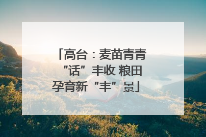 高台：麦苗青青“话”丰收 粮田孕育新“丰”景