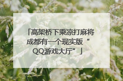 高架桥下乘凉打麻将 成都有一个现实版“QQ游戏大厅”