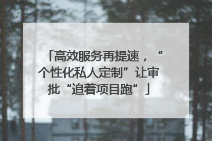 高效服务再提速，“个性化私人定制”让审批“追着项目跑”