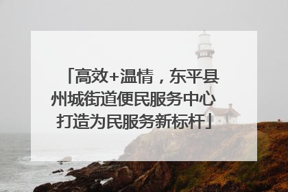 高效+温情，东平县州城街道便民服务中心打造为民服务新标杆