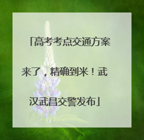 高考考点交通方案来了，精确到米！武汉武昌交警发布