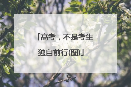 高考，不是考生独自前行(图)