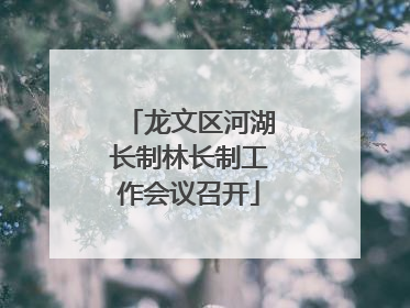 龙文区河湖长制林长制工作会议召开