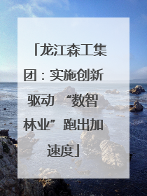 龙江森工集团：实施创新驱动 “数智林业”跑出加速度