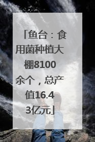 鱼台：食用菌种植大棚8100余个，总产值16.43亿元