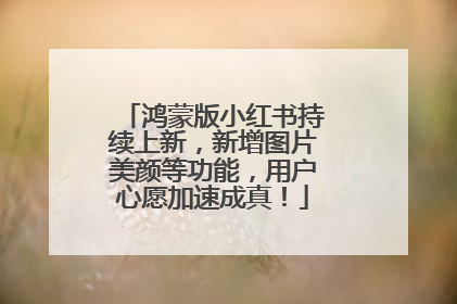 鸿蒙版小红书持续上新，新增图片美颜等功能，用户心愿加速成真！