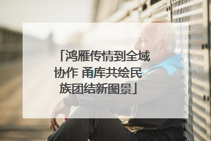 鸿雁传情到全域协作 甬库共绘民族团结新图景