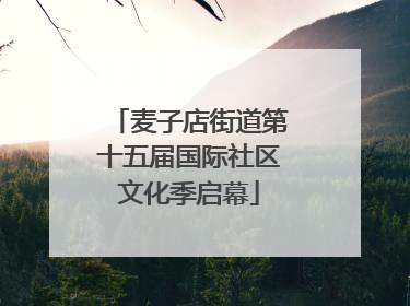 麦子店街道第十五届国际社区文化季启幕