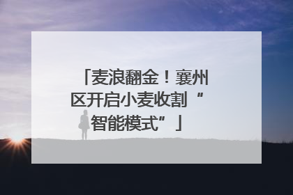 麦浪翻金！襄州区开启小麦收割“智能模式”