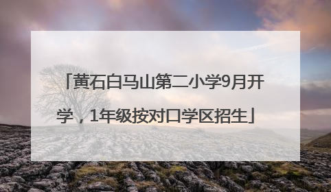 黄石白马山第二小学9月开学，1年级按对口学区招生
